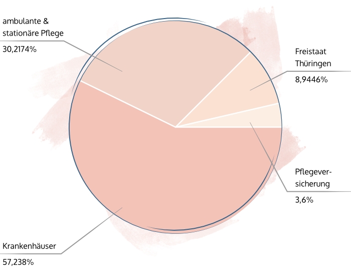 Kreisdiagramm Prozentuale Aufteilung der Einzahlungen
